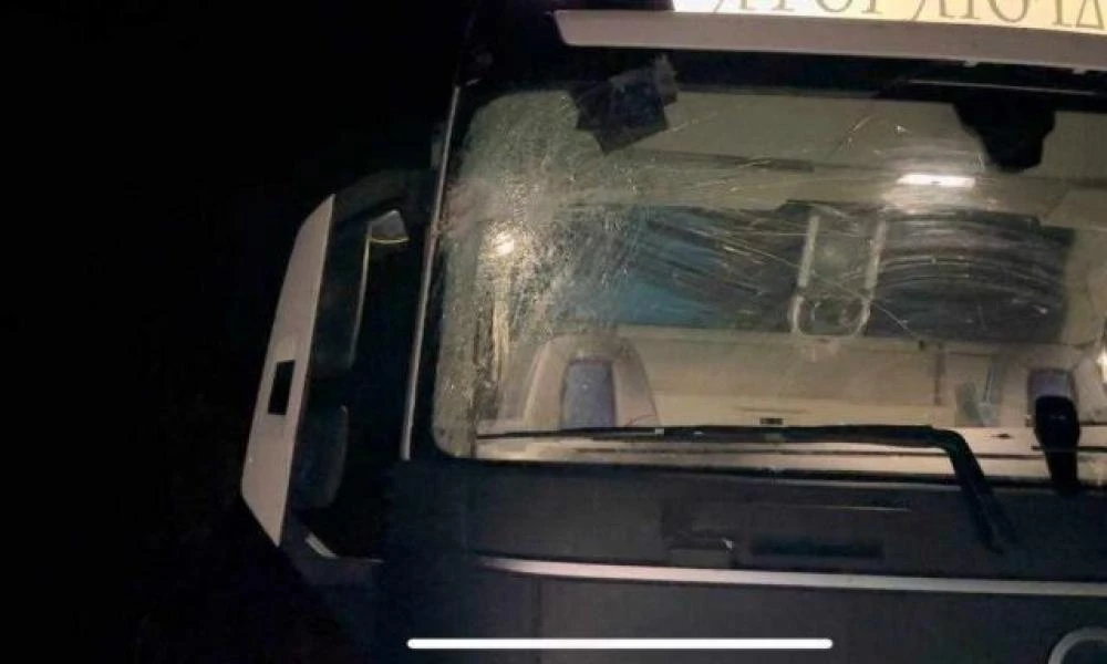 Απίστευτο περιστατικό προκάλεσε η κακοκαιρία: Δέντρο έπεσε πάνω σε νταλίκα στην Παλαιά ΕΟ Αντιρρίου – Ιωαννίνων